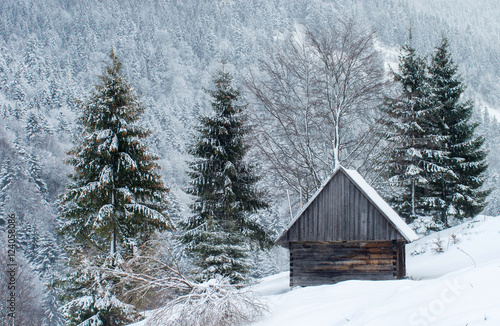 Small wooden house in winter in the mountains surrounded by snow-covered fir trees on the background of the unsharp forest. Winter landscape. © vladk213