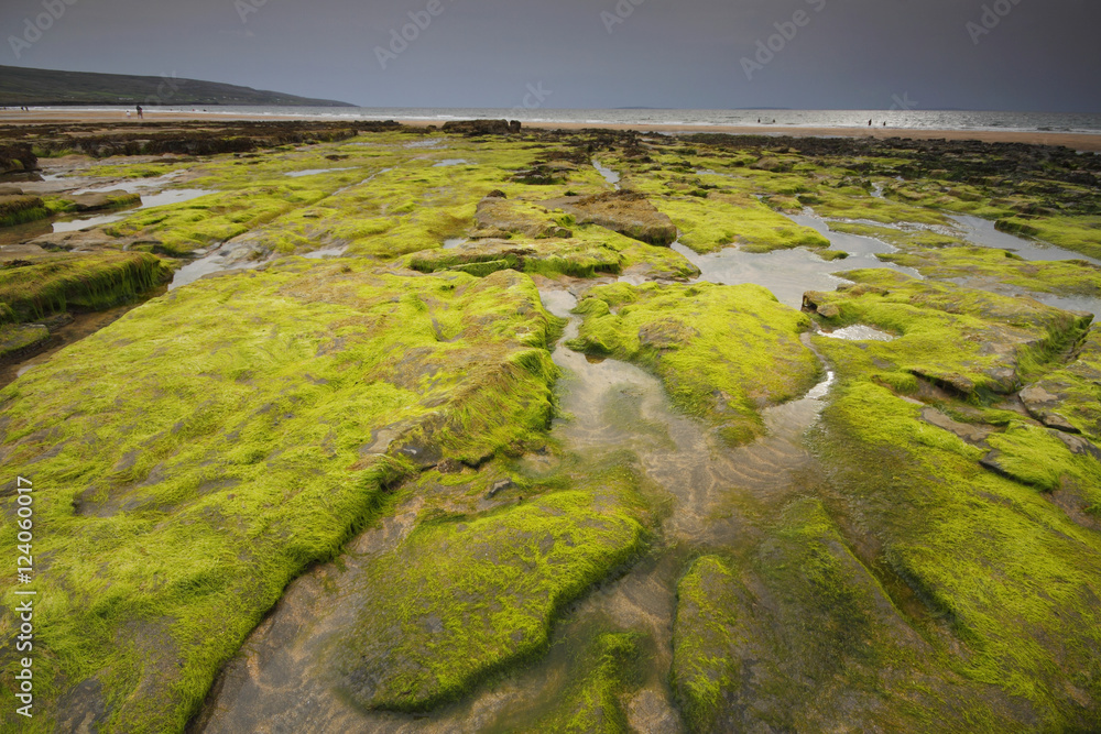 Green Rocks On Fanore Beach In The Burren Region; County Clare, Ireland Green Rocks On Fanore Beach In The Burren Region; County Clare, Ireland
