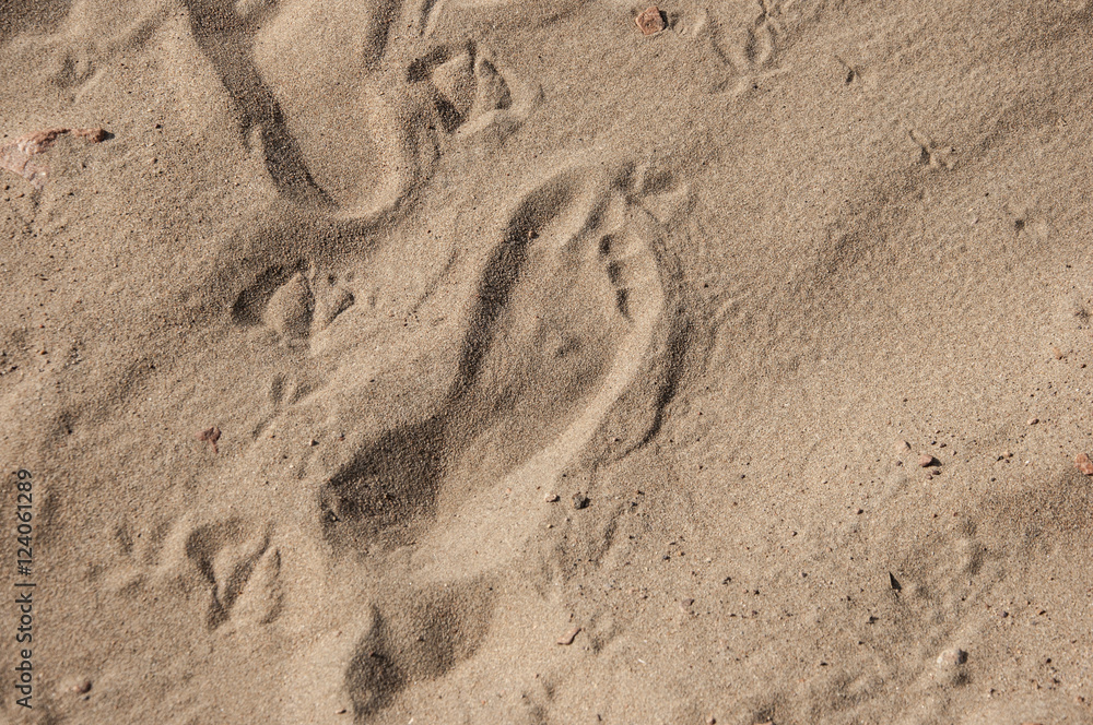 Footprints in sand at the Beach Footprints in sand at the Beach