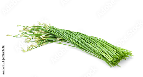 Chinese chives on white background