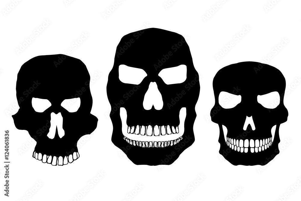 Collection of skulls Collection of skulls
