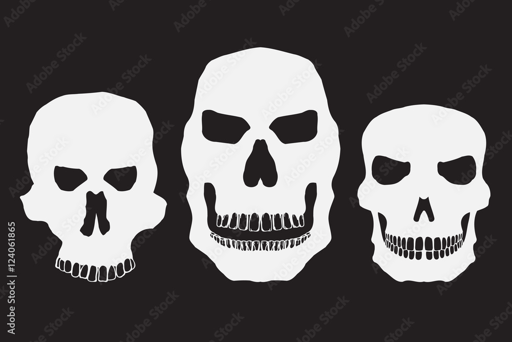 Collection of skulls Collection of skulls