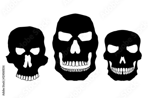 Collection of skulls