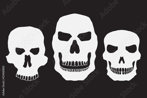 Collection of skulls
