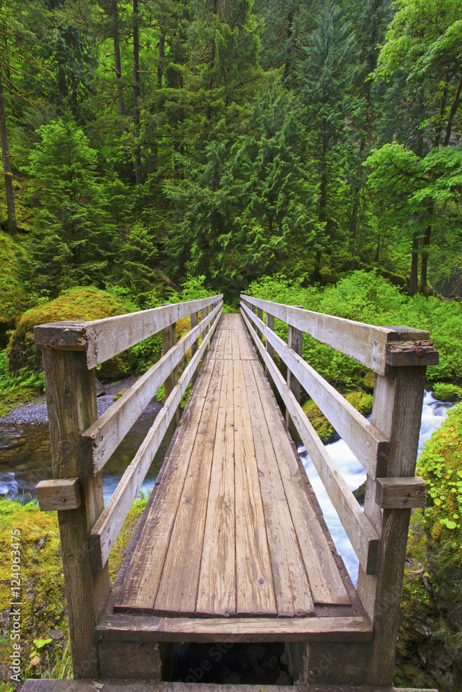 Boardwalk Along Tanner Creek In Columbia River Gorge National Scenic Area In The Pacific Northwest; Oregon, United States of America Boardwalk Along Tanner Creek In Columbia River Gorge National Scenic Area In The Pacific Northwest; Oregon, United States of America