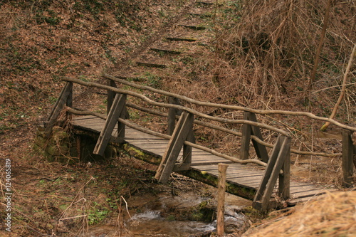 Wallpaper Mural wood bridge Torontodigital.ca