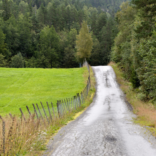 A Wet Road Leading Towards A Dense Forest; Norway photo