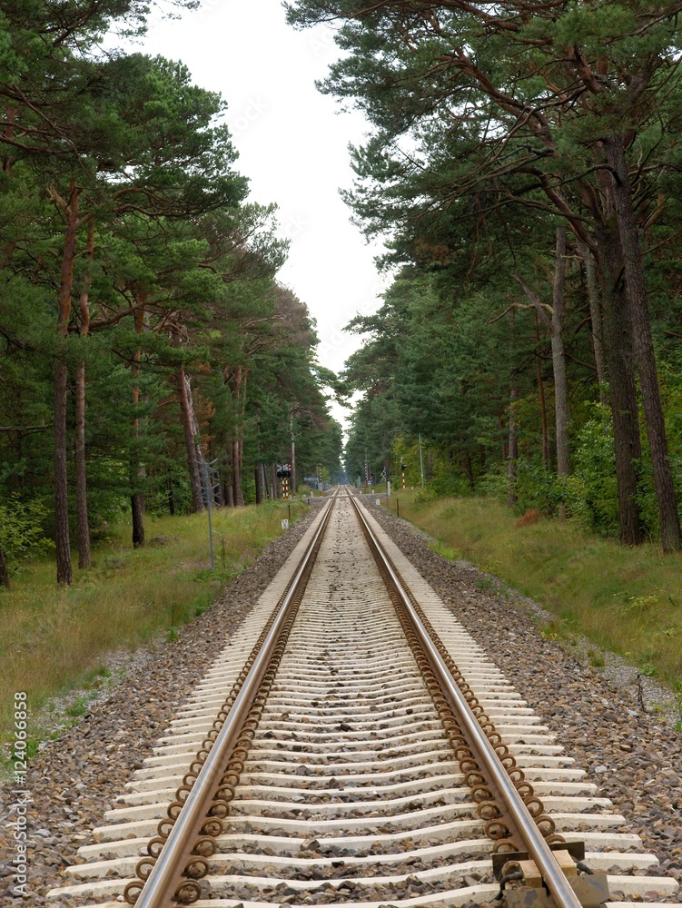 railway line in forest on HEL penistula
