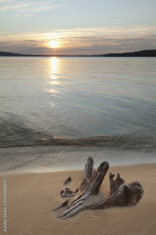 Driftwood On A Beach Of Lake Superior Near Marquette; Michigan, United States of America Driftwood On A Beach Of Lake Superior Near Marquette; Michigan, United States of America