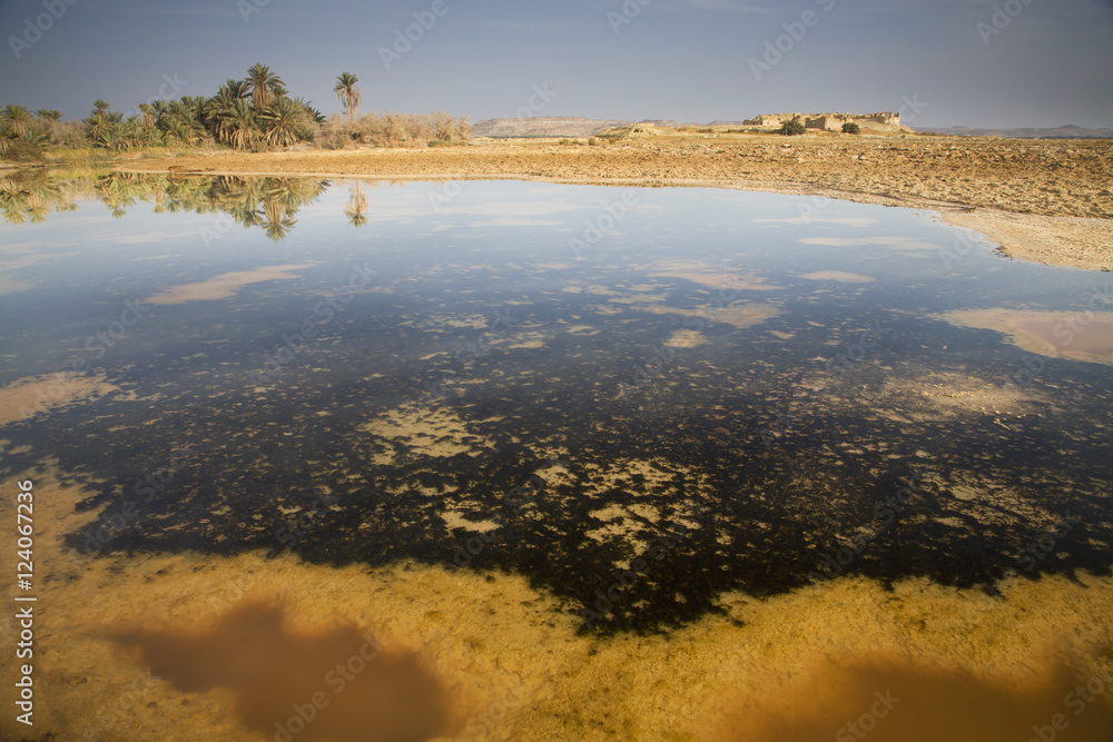 Salt Water Sitting In A Dry Desert Field Outside The Town Of Siwa At