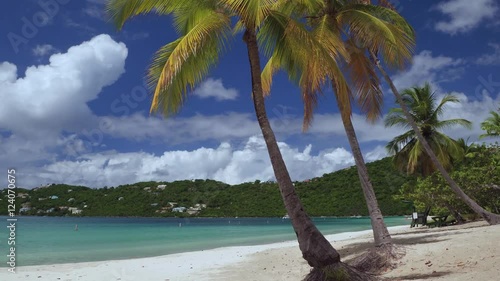 Panning video of palm trees on the beach with audio, Magens Bay, St Thomas photo