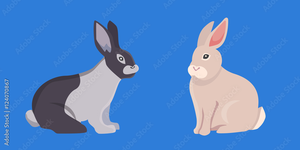 vector illustration of cartoon rabbits. set  drawing  isolated rabbit.