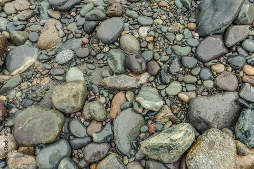 Мокрые камушки на берегу реки Катунь