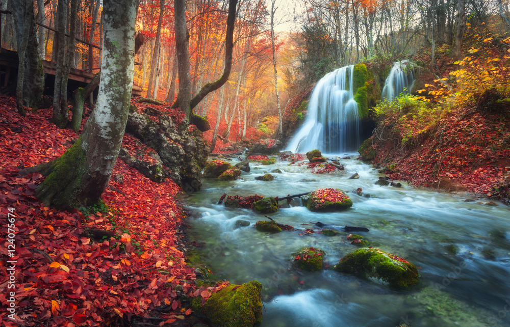 Autumn forest with waterfall at mountain river at sunset. Colorful landscape with trees, stones, waterfall and vibrant red and orange foliage. Nature background. Fall woods. Beautiful blurred water - obrazy, fototapety, plakaty 