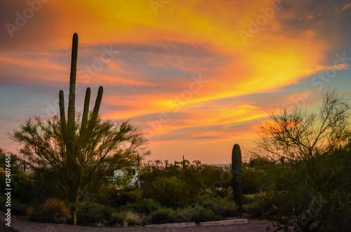 Arizona Sunsets