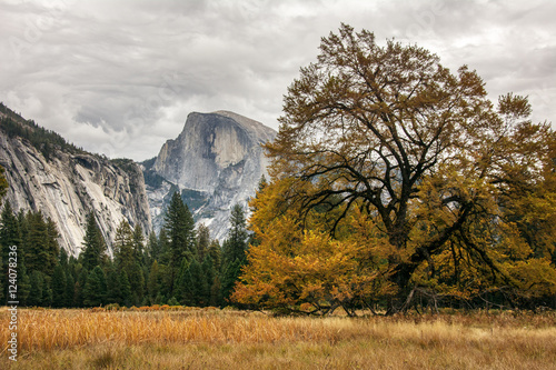 Half Dome Mountain View Yosemite Vallay