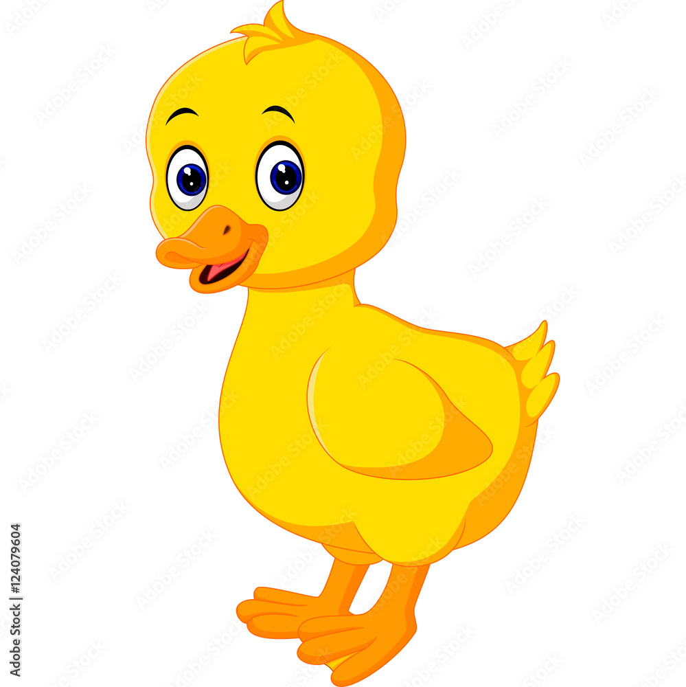 Cute baby duck cartoon