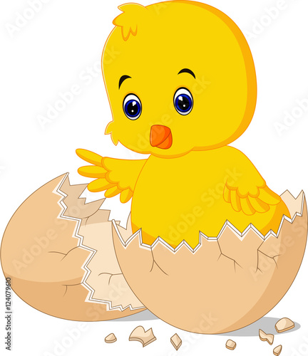 Cracked egg with cute bird inside

