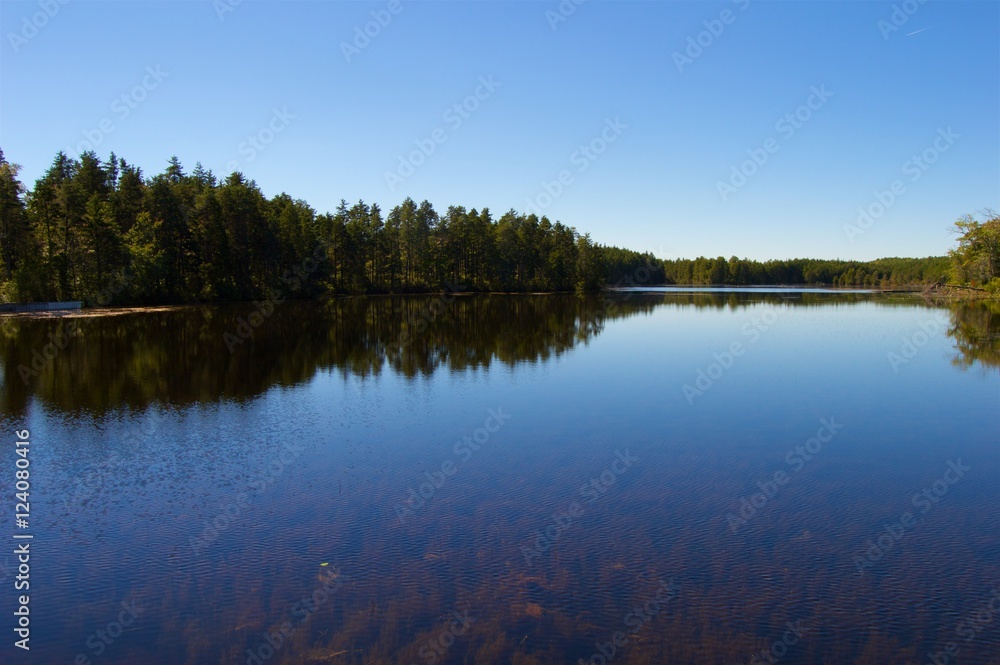 Lake Side View