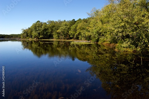 Lake Side View