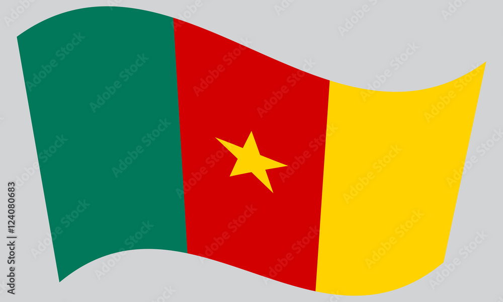 Flag of Cameroon waving on gray background Flag of Cameroon waving on gray background