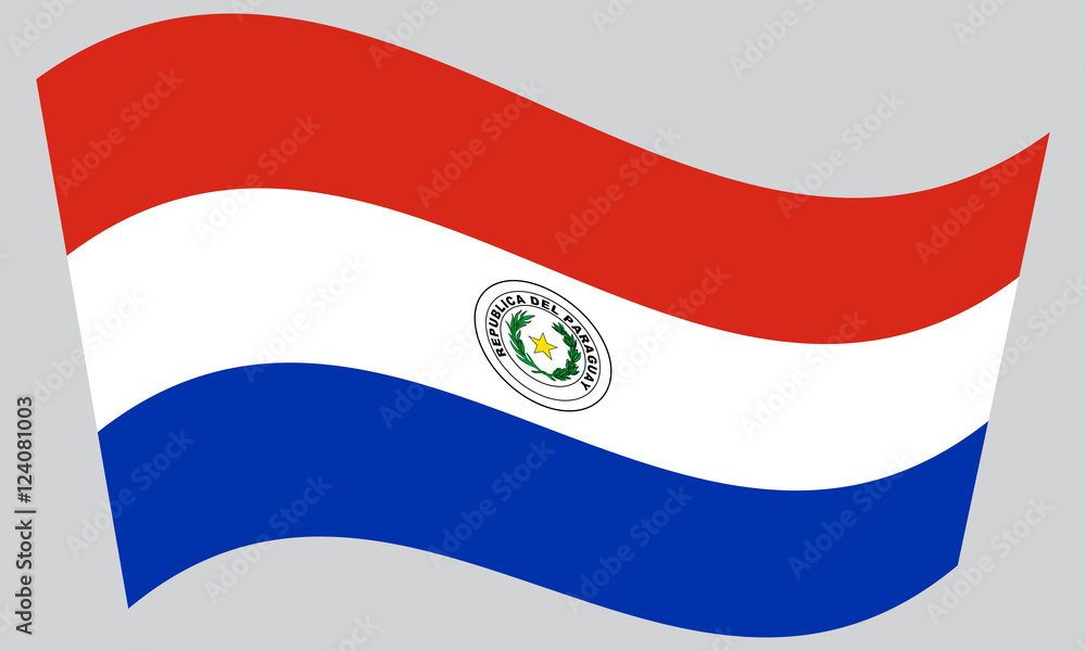 Obraz premium Flag of Paraguay waving on gray background