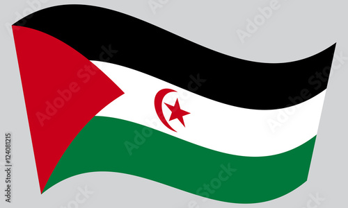 Flag of Western Sahara waving on gray background photo