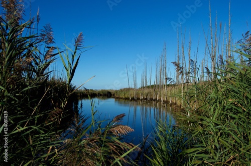 Canvas Print Jersey Shore Marshes