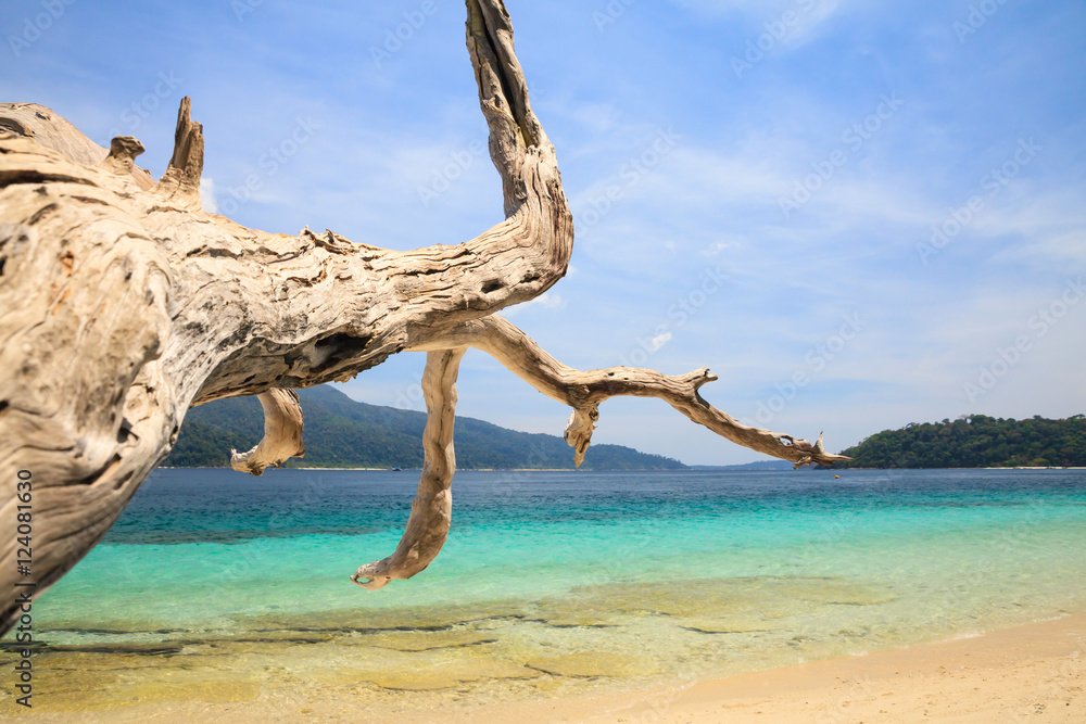 Beautiful tropical island beach - Koh Adang, Satun Thailand.
