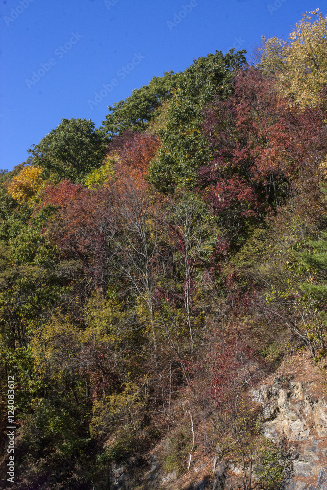 Craggy Pinnacle Craggy Pinnacle