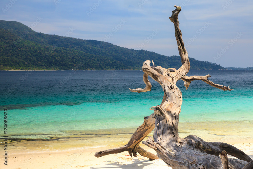 Beautiful tropical island beach - Koh Adang, Satun Thailand Beautiful tropical island beach - Koh Adang, Satun Thailand