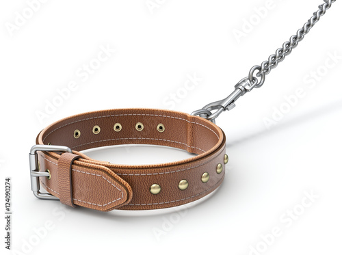 Fotografering Leather dog collar with trigger hook and chain