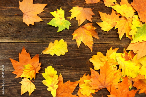 Colorful autumn leaves on an old wooden background