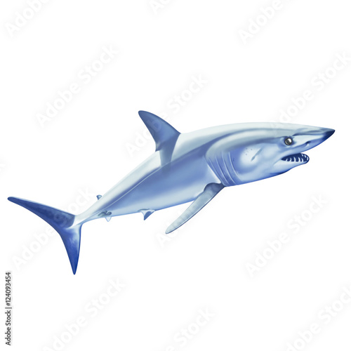 Shark