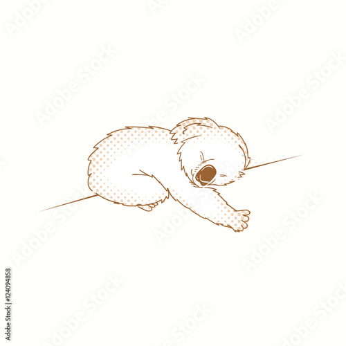 Illustration Sleeping Koala