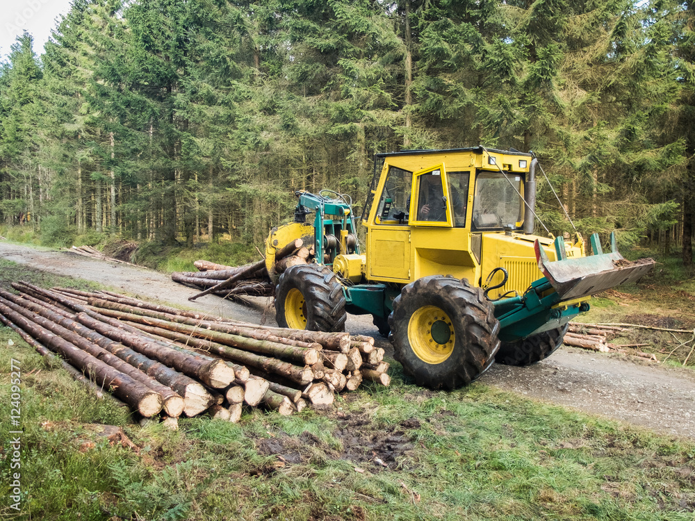 Waldarbeiten mit Baumstämmen und Maschine