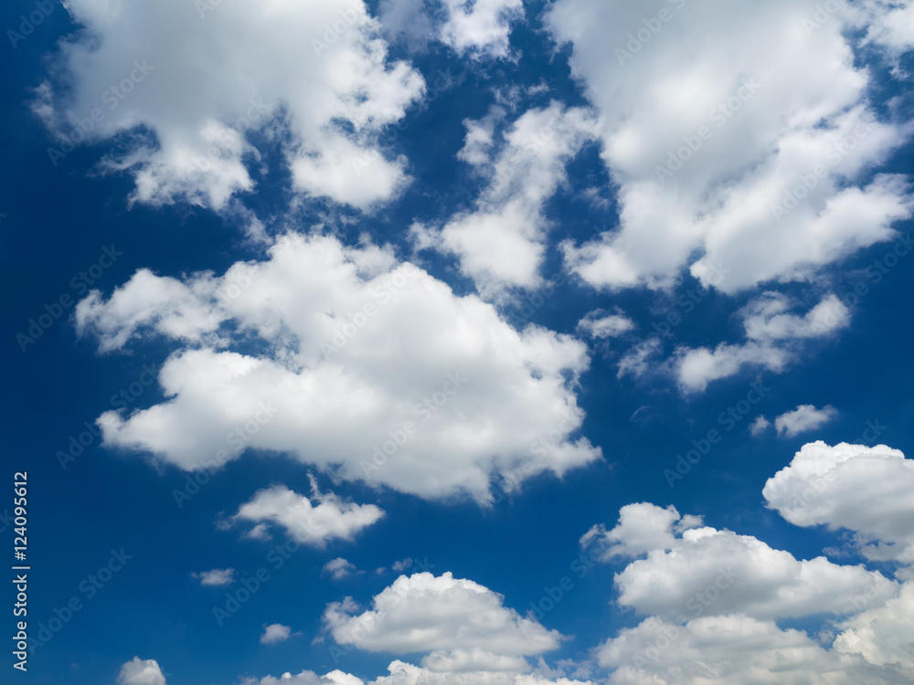 Fototapeta premium 東京の夏空