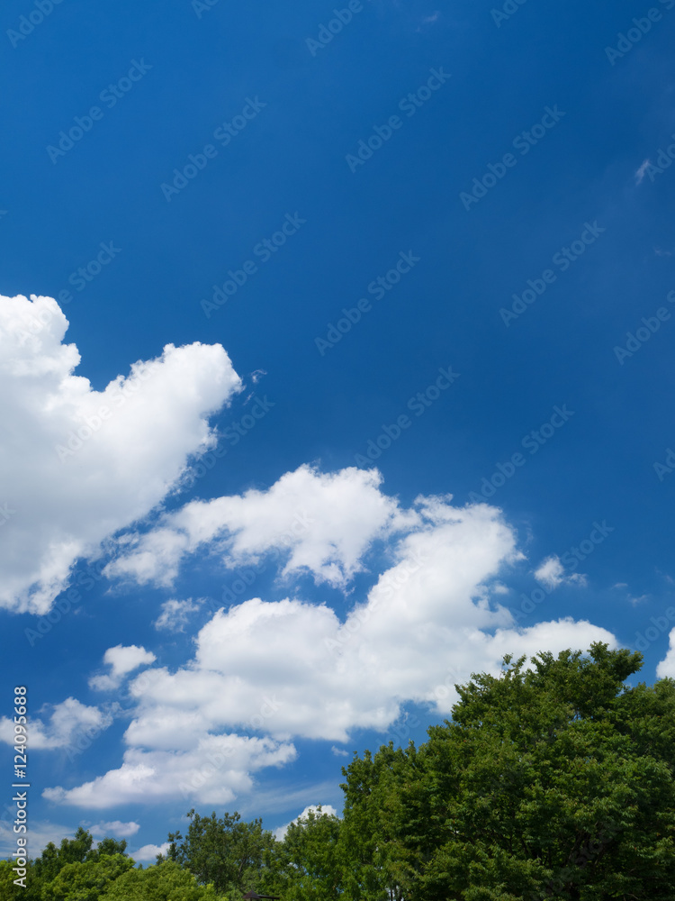 青空と樹木