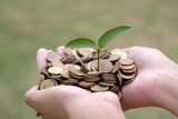 plant growing on coin and hand of the girl. Business success con