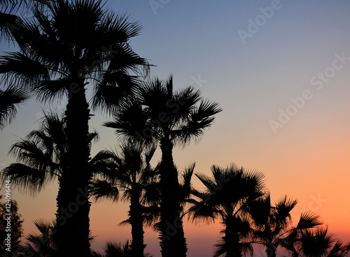 Obraz na płótnie Palm trees silhouette on sunset tropical beach. Diagonal w salonie