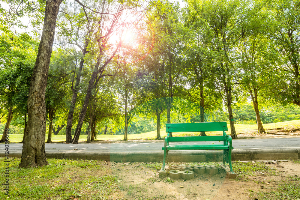 Bench in city park