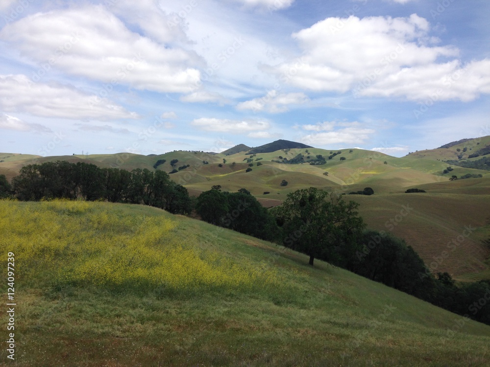 Spring Hills Spring Hills
