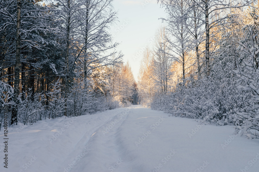 Fototapeta premium Snowbound countryside road in scenic forest