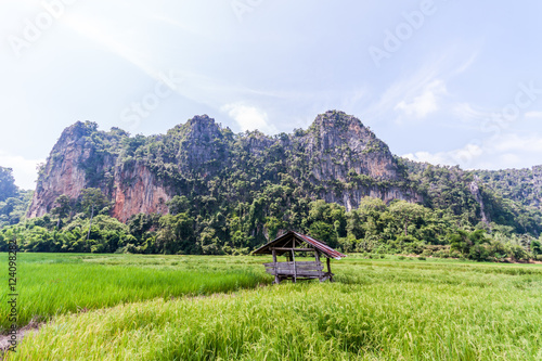 Ban Mung at Noen maprang Phitsanulok Thailand. photo