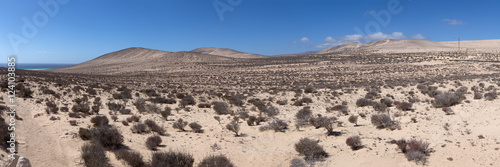 dry sandy landscape with dead bushes