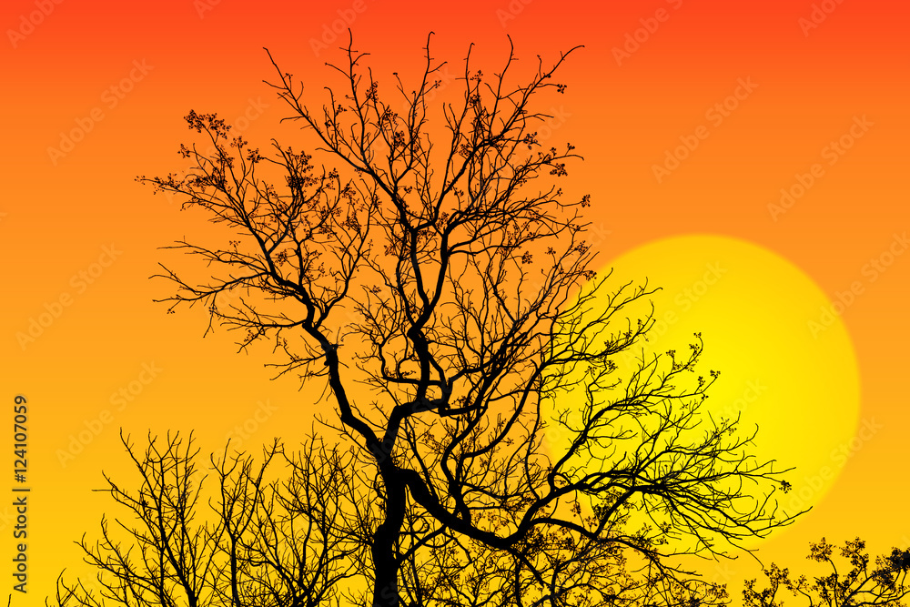 Abstract background with tree branch silhouette and sun