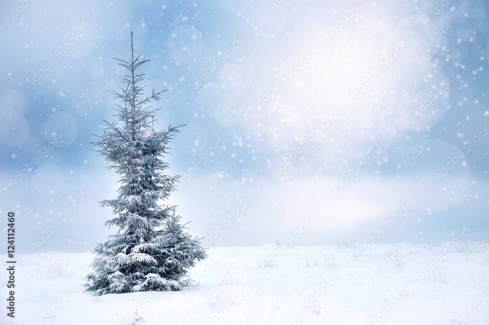 Winter Christmas landscape with spruce and snowflakes Winter Christmas landscape with spruce and snowflakes