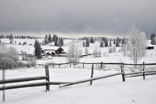 Fairy winter landscape with fir trees