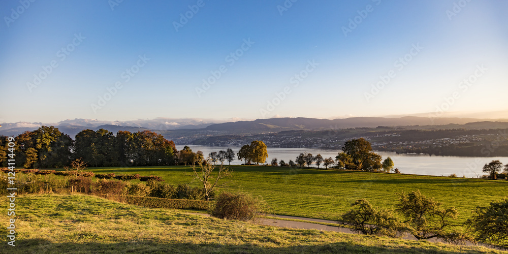 Fototapeta premium Panoramaaufnahme mit Blick über den Zürichsee
