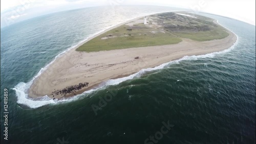 Seals and lighthouse in Nantucket, Massachusetts, aerial photo